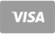 Visa credit and debit card payment